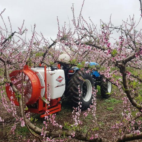 SUPREMA-in-the-field