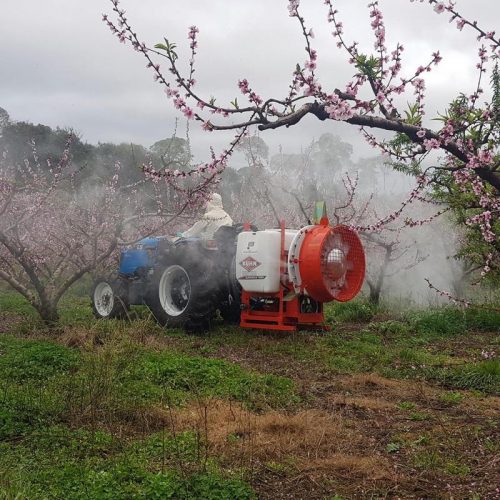 Suprema-480-at the-Peach